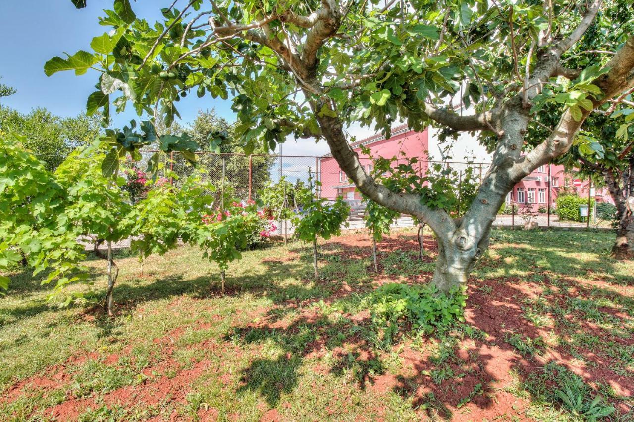 Apartments El Faro Савудрия Экстерьер фото